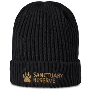 Arctic Beanie
