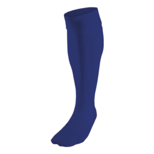 BRT Team Sock