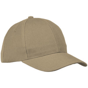 6 Panel Raven Cap