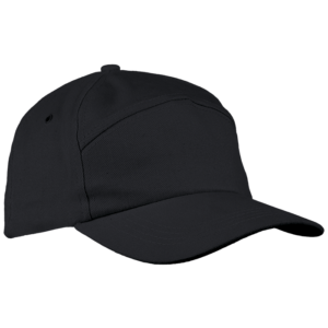 6 Panel Carbon Cap